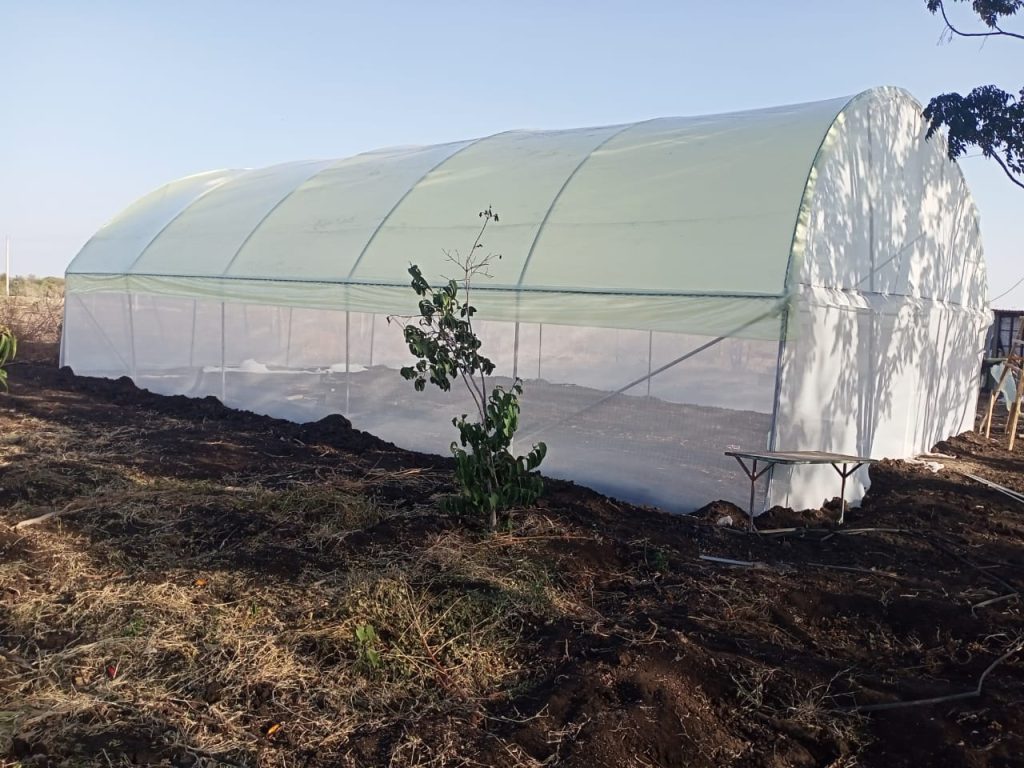 Greenhouse Construction